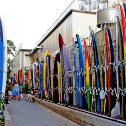 Longboard 9'0 « Passe en S »