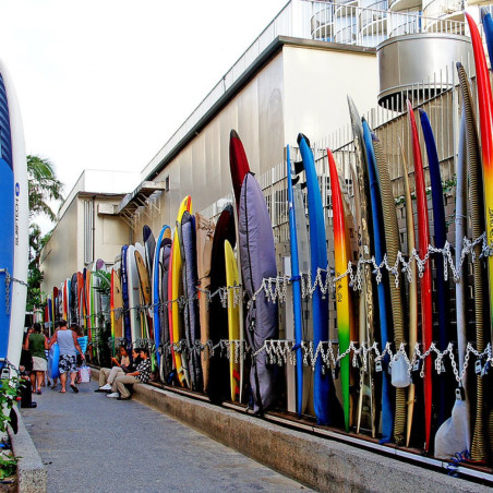 Longboard 9'0 « Passe en S »
