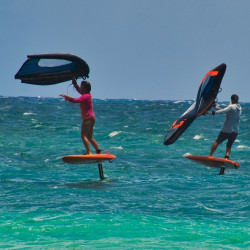 Planche wing 5'4 – 85 L